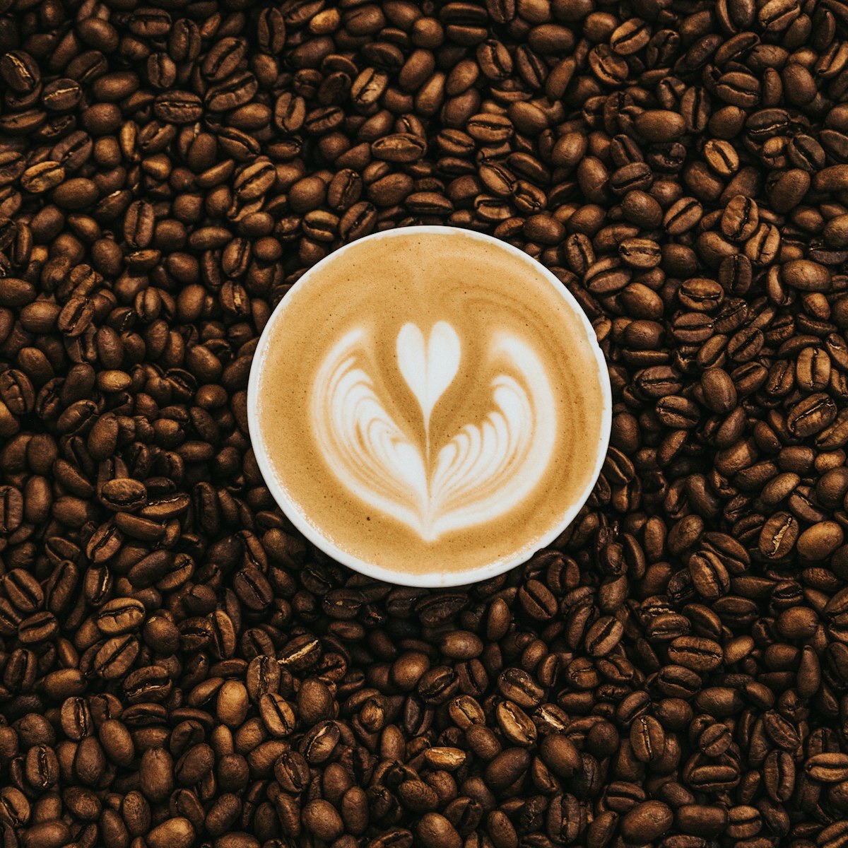 Behind the counter: meet Priya, head roaster